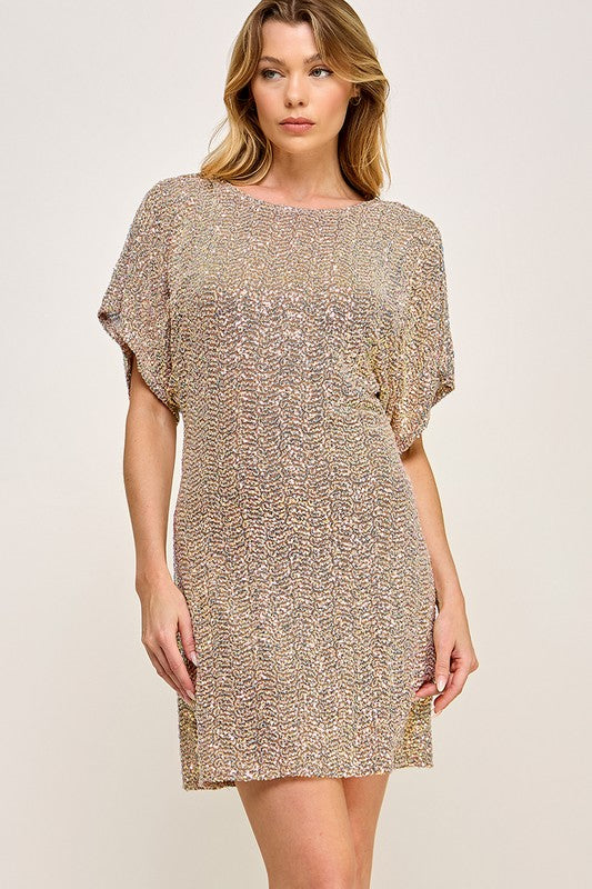 Sequin Short Sleeve Dress